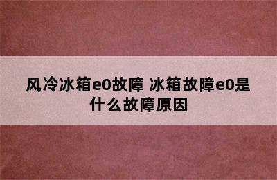 风冷冰箱e0故障 冰箱故障e0是什么故障原因